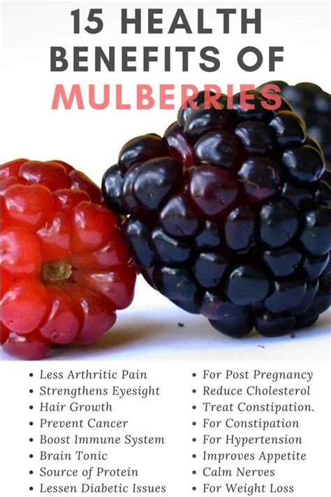 The Health Benefits of Mulberries .